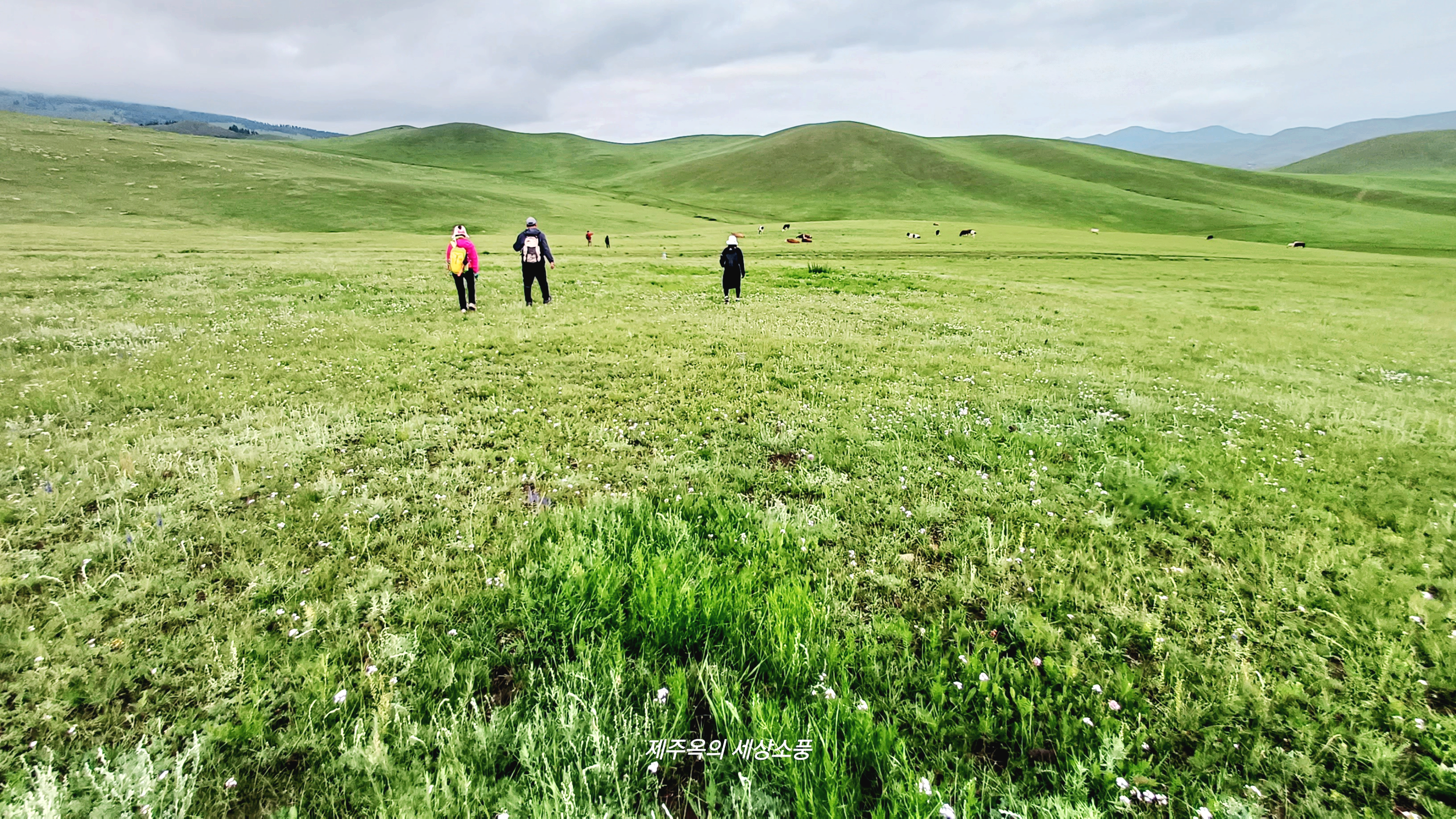 몽골올레 1코스를 걷는 올레꾼들