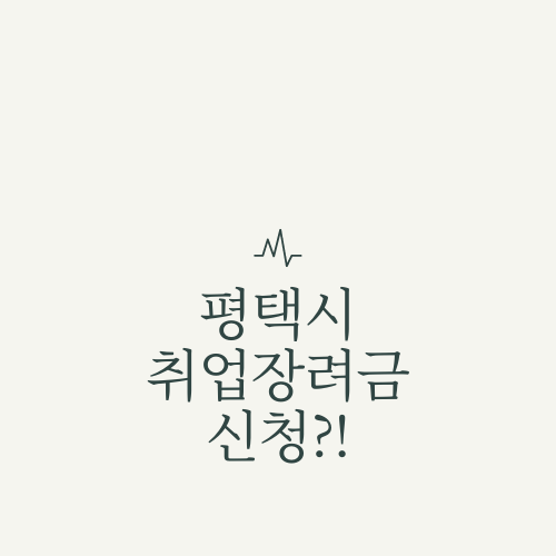  평택시 취업장려금에 대해서 알아보자.txt