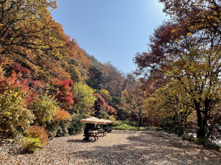카페 들 야외자리