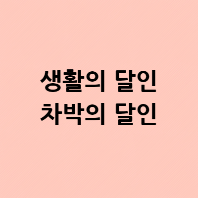  생활의달인 차박 달인 대부도 차박 캠핑장 촬영 협조 장소 연락처 위치 어디? 김인기 달인