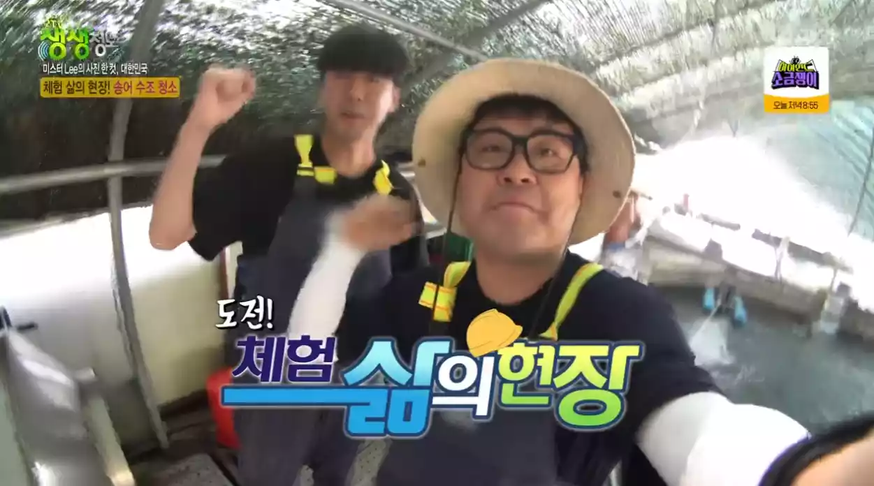 미스터lee