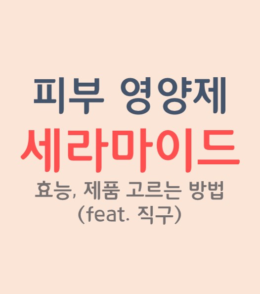  세라마이드 효능, 제품 고르는 방법(먹는 세라마이드, 곤약 세라마이드, 세라티크, 아이허브)