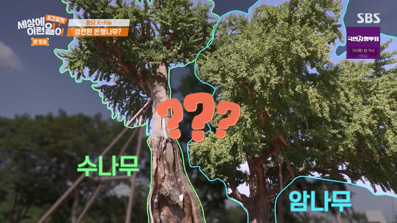 순간포착 세상에 이런일이.E1240.230806p-NEXT.mp4_20230806_161409.510.jpg