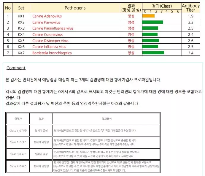 항체검사