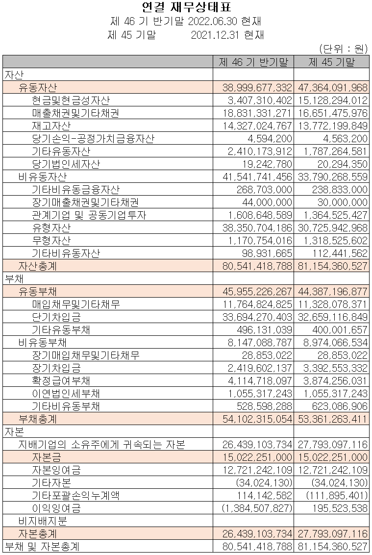 뉴인텍 - 재무상태표