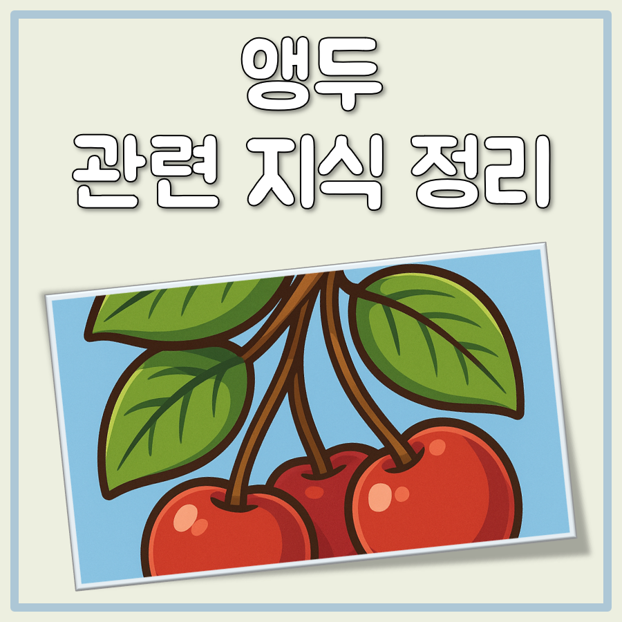 앵두 효능, 먹는법, 칼로리, 당뇨 지수 간단 정리