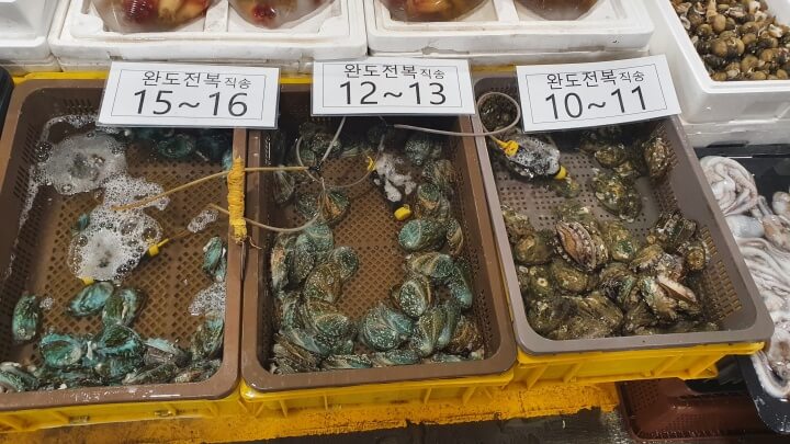 완도산-전복