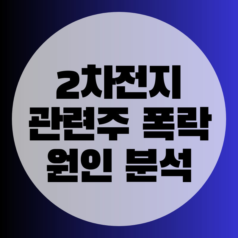 2차전지 관련주 급락의 원인분석과 파장