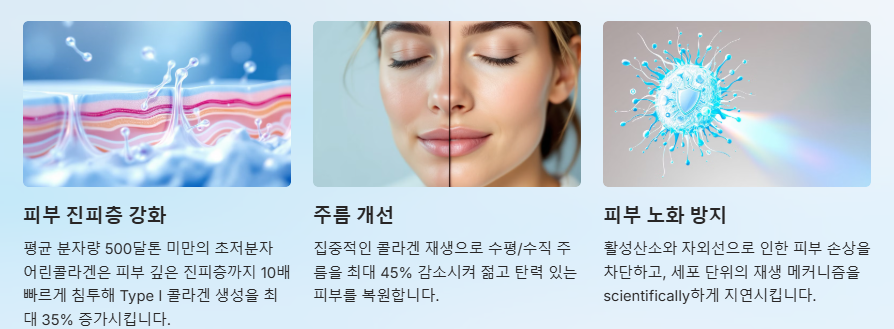 피부 진피층 강화 주름개선 피부 노화벙지