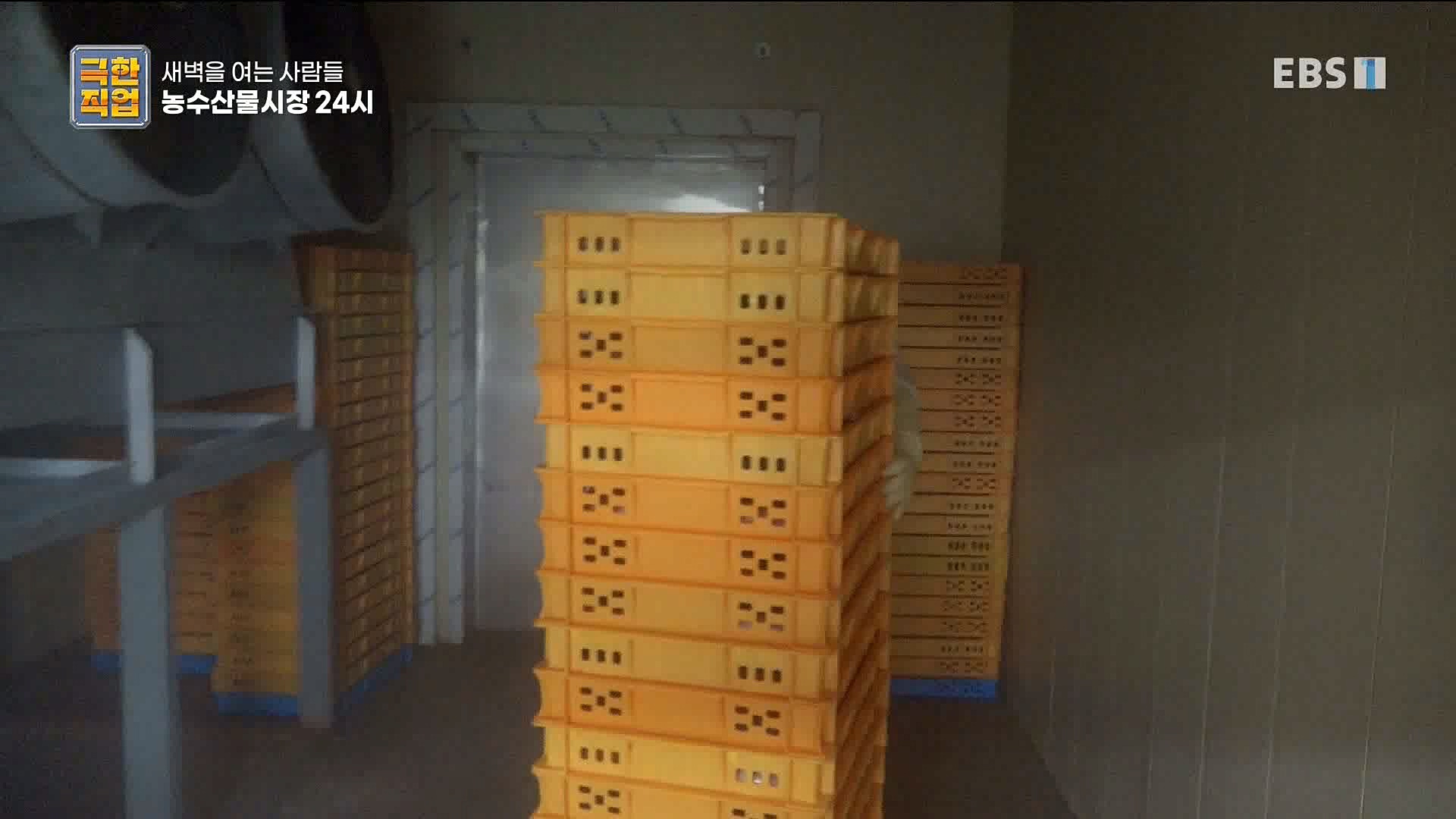 농수산물 시장 24시.mp4_20221020_161713.599.jpg