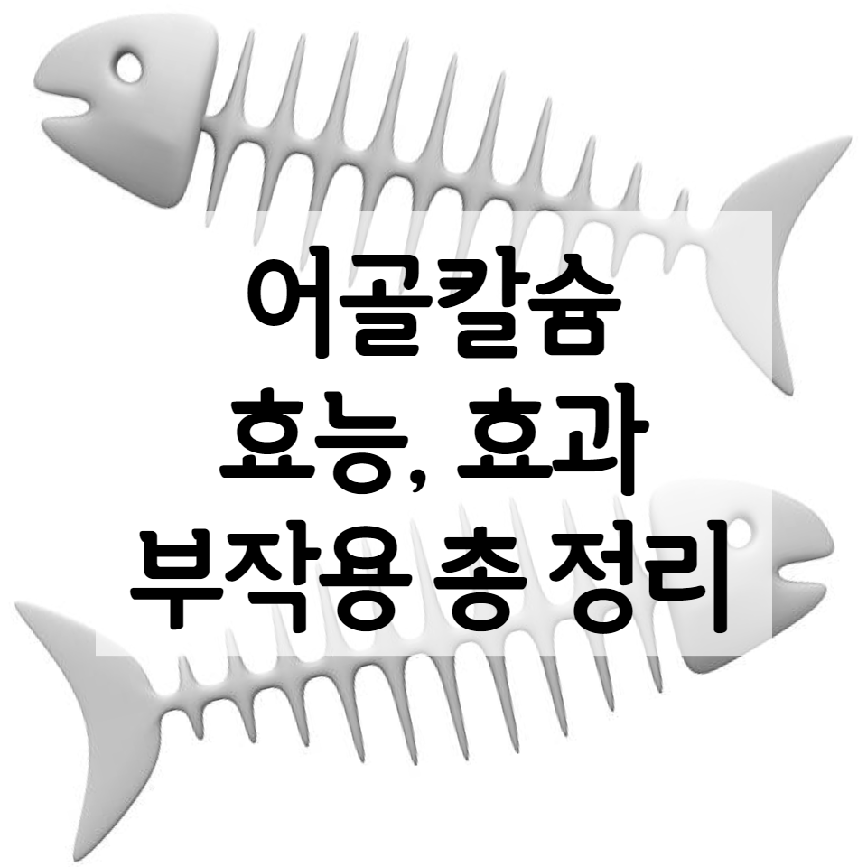 어골칼슘 효능, 효과, 부작용 총 정리