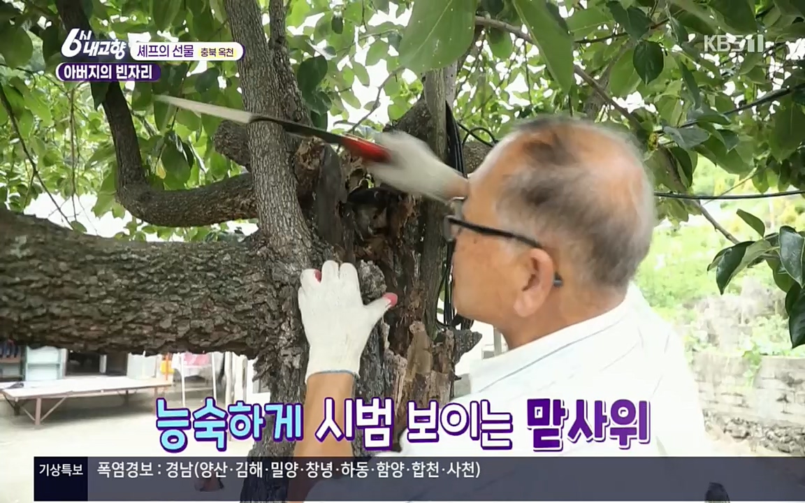 6시 내고향.E7571.220709p.H264-F1RST.mp4_20220709_174237.290.jpg