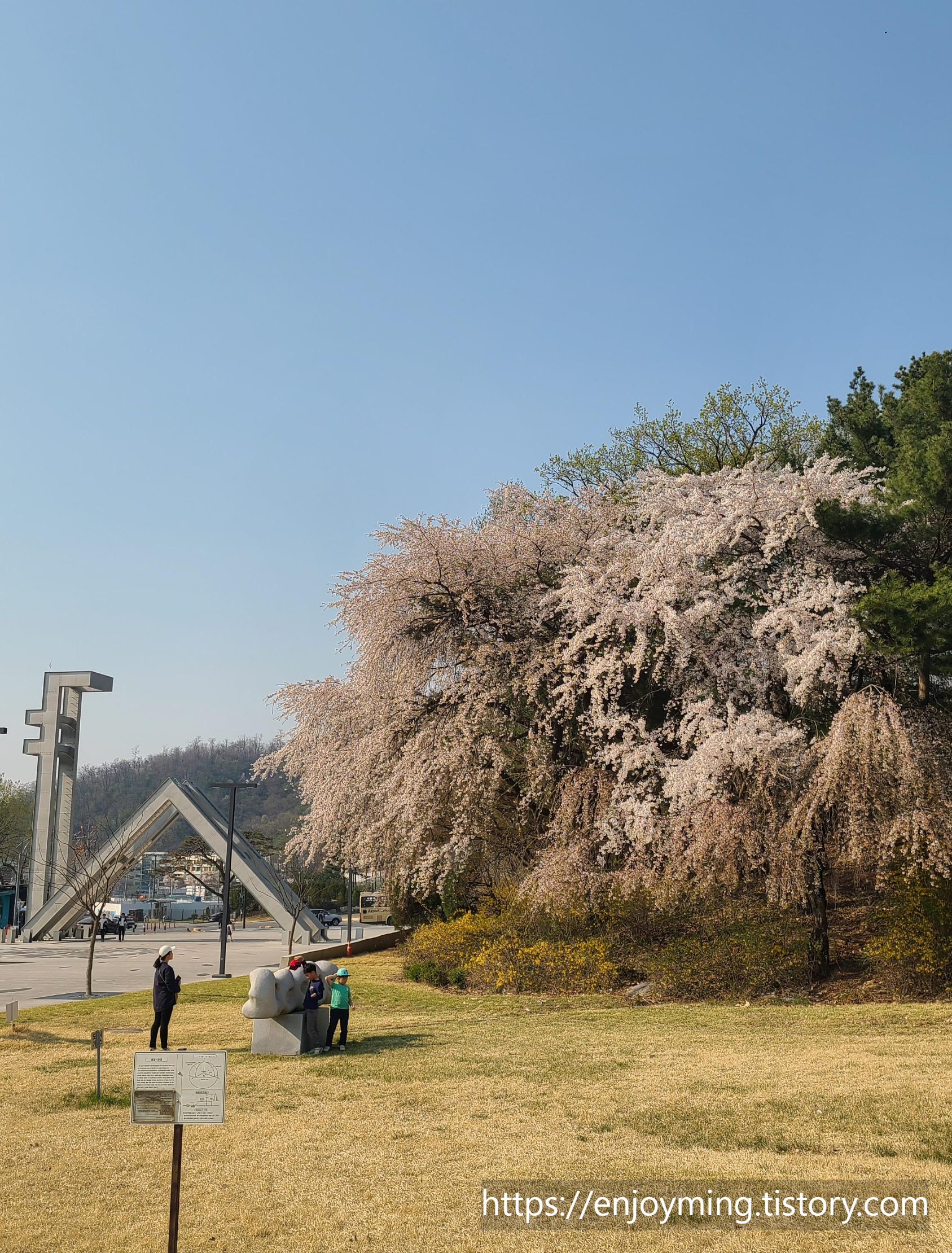  서울대 벚꽃 관악산 호수공원 벚꽃 후기(가는 길 주차 개화율)