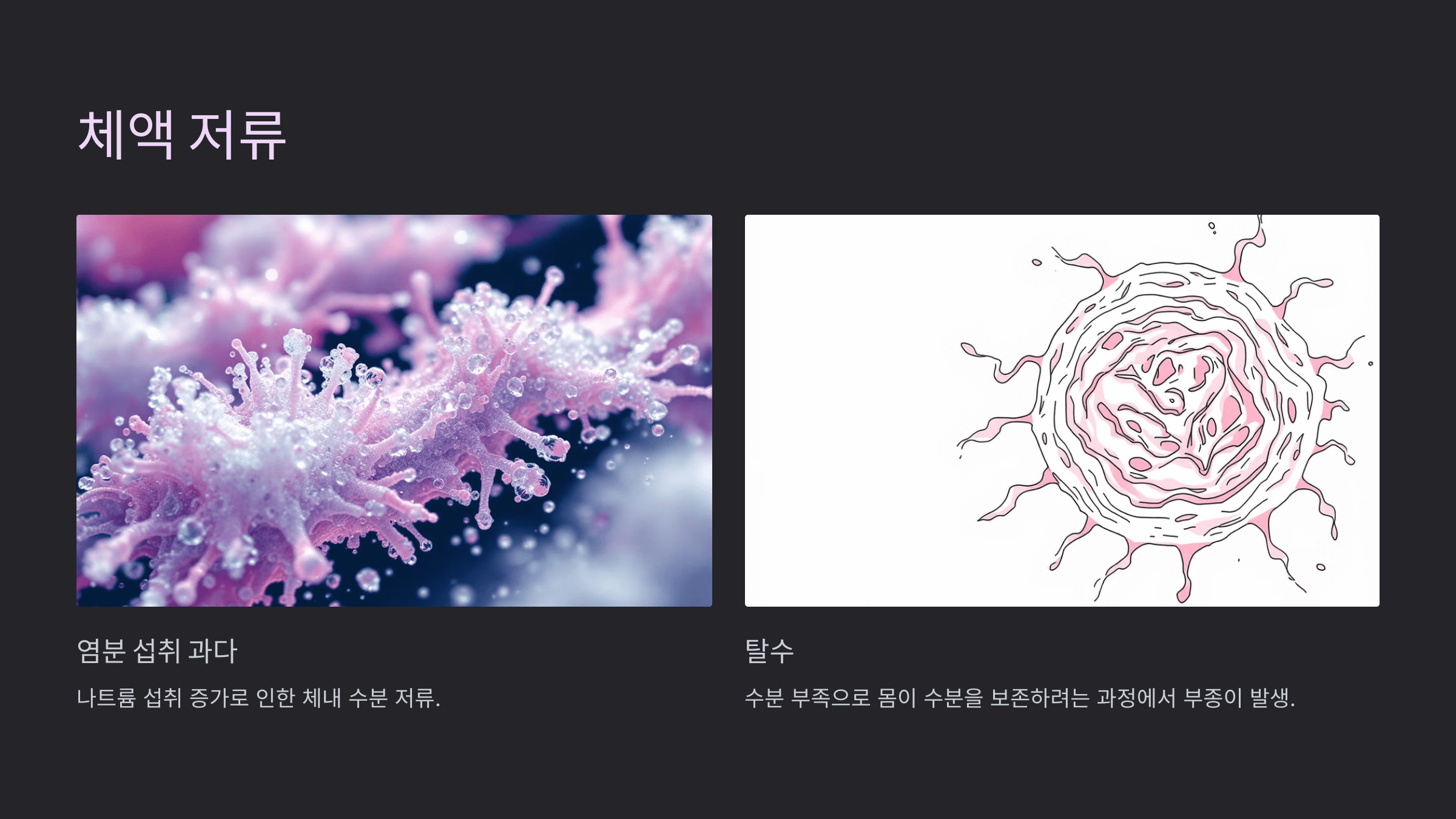 다리와 관련된 사진입니다.