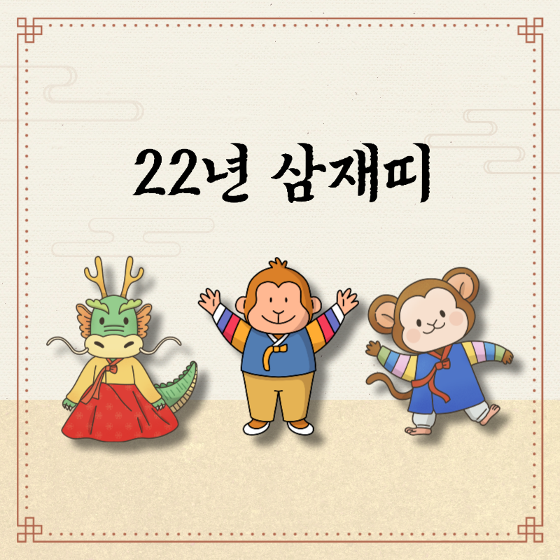 22년도삼재띠