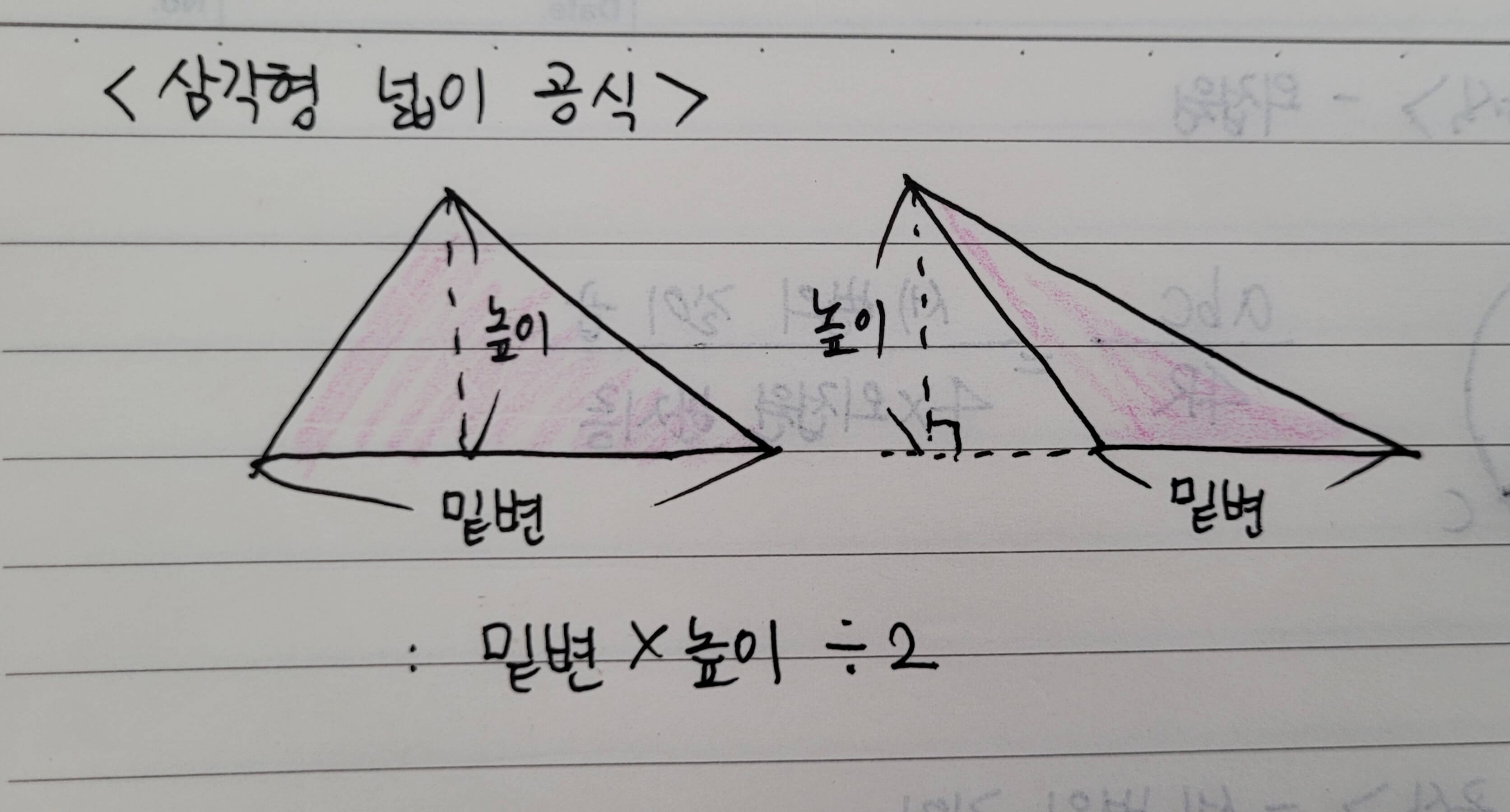 초등 삼각형 넓이 공식