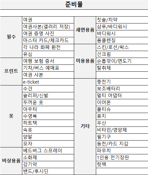 동유럽 여행(해외여행) 준비물