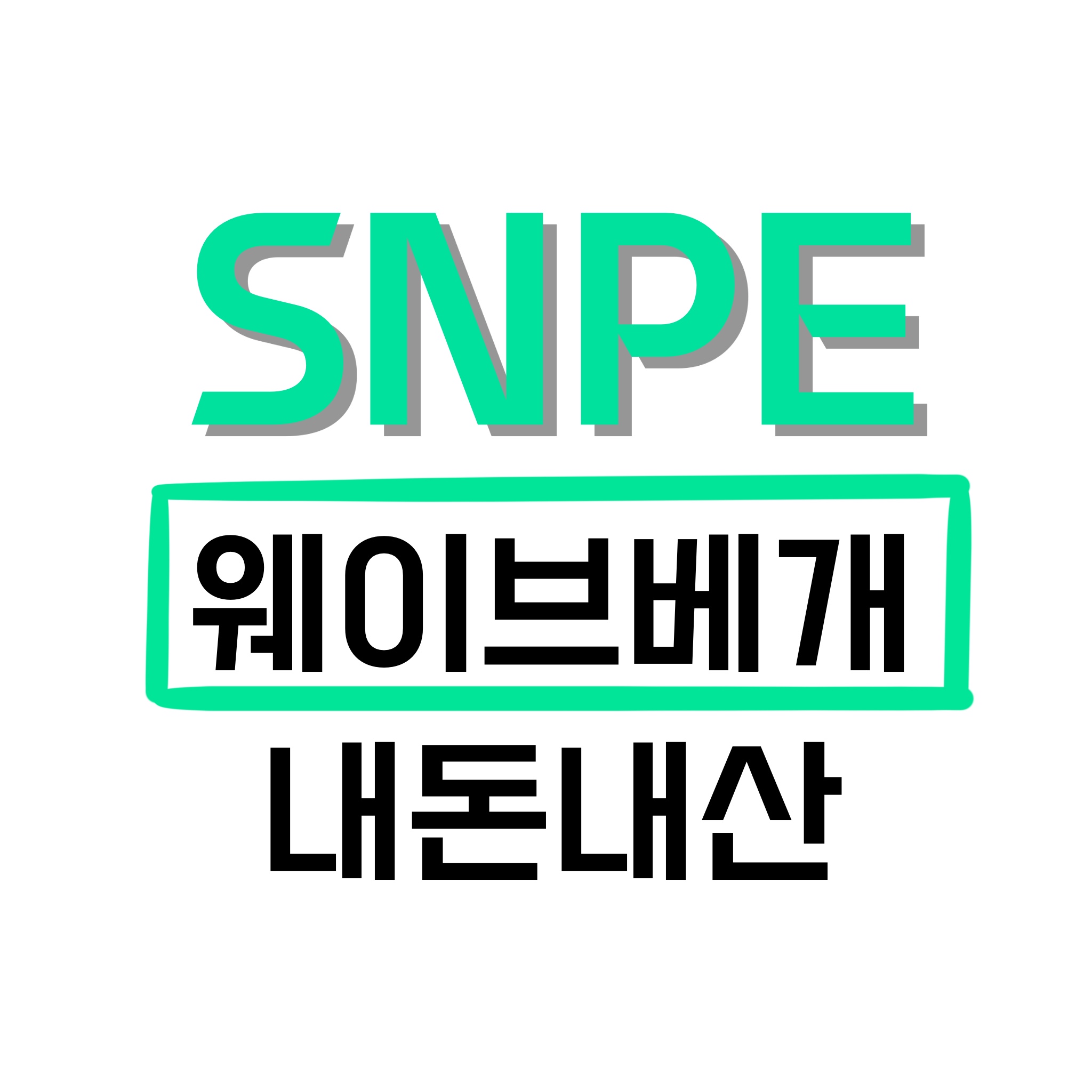 SNPE-웨이브베개-내돈내산-모습