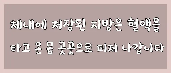  체내에 저장된 지방은 혈액을 타고 온 몸 곳곳으로 퍼져 나갑니다