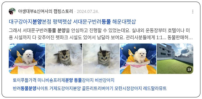 동물분양_2_subsection