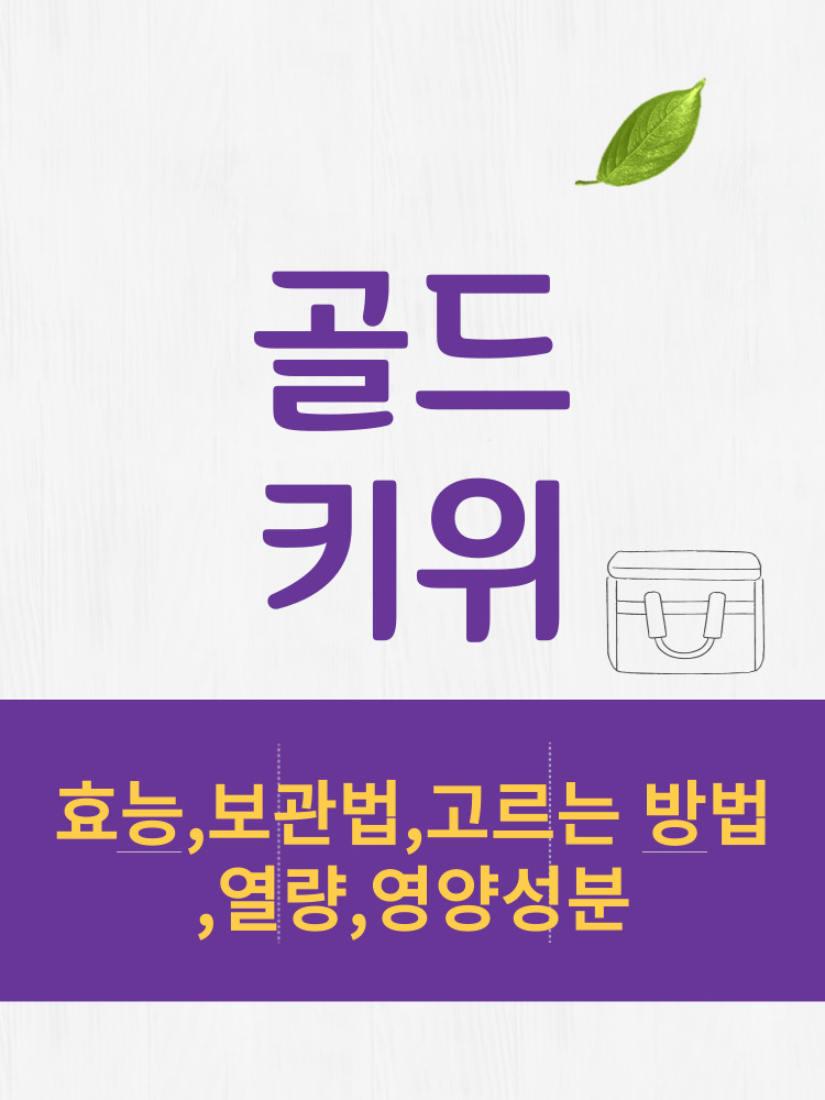  골드키위 효능 및 열량과 보관법 칼로리 총정리 
