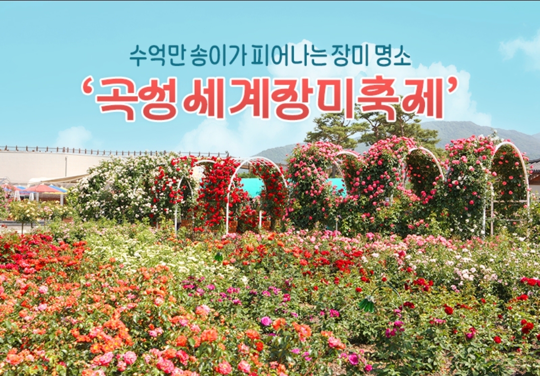 곡성 장미축제