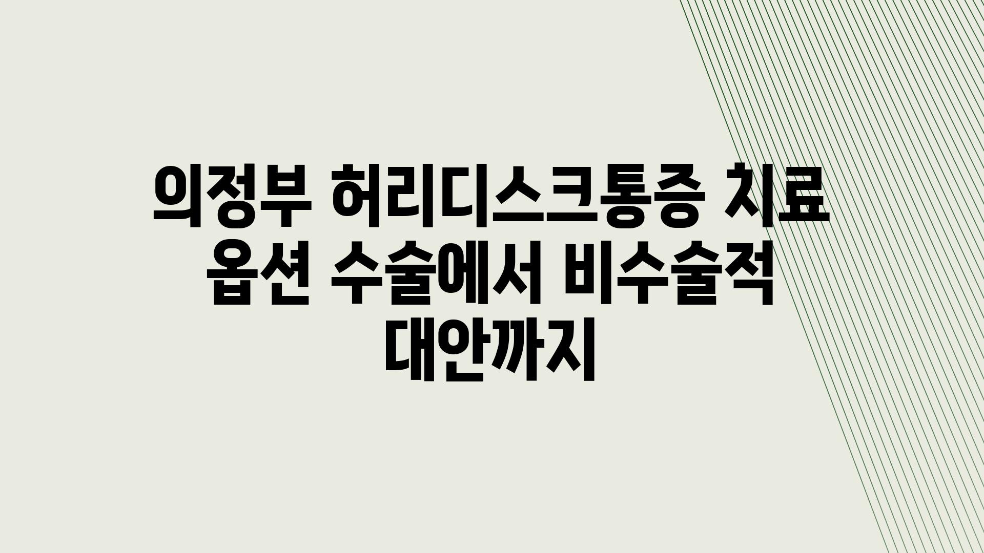 의정부 허리디스크통증 치료 옵션 수술에서 비수술적 대안까지