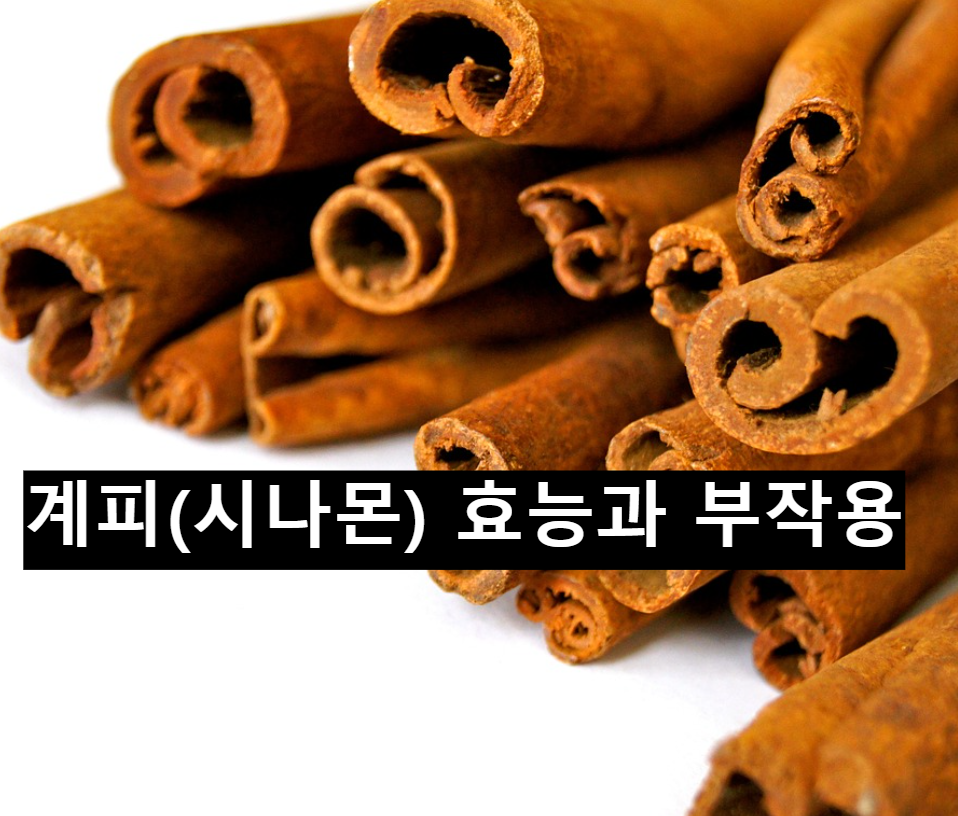  계피(시나몬) 효능과 부작용