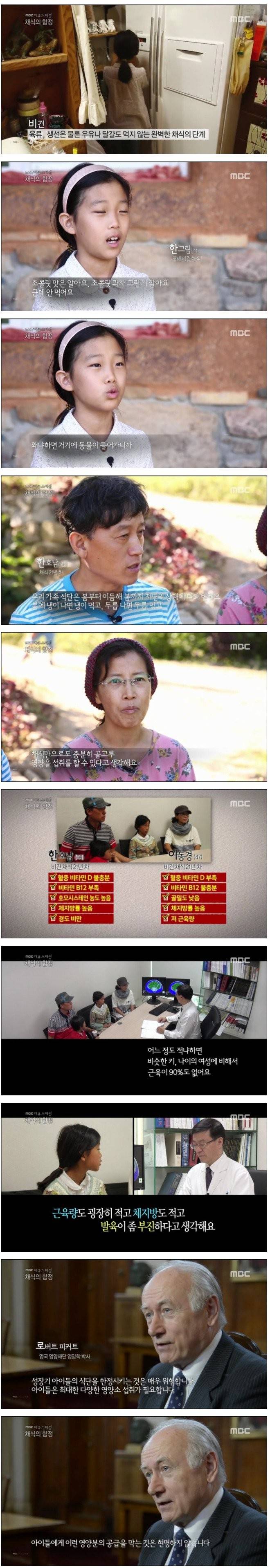  채식의 함정 비건의 현실