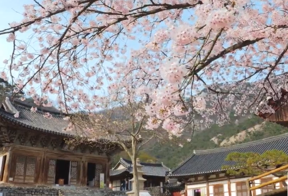  부안군청, 2024 설 명절 부안군 관광지 운영 일정 안내!