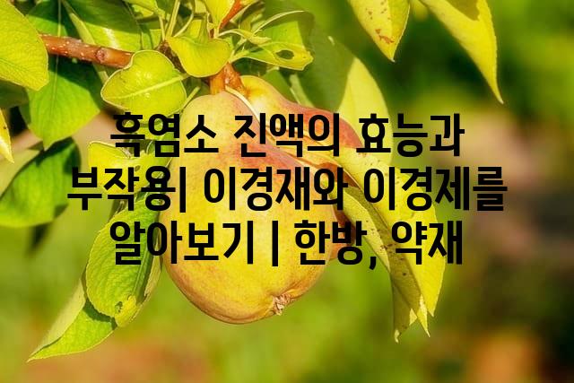랜덤178