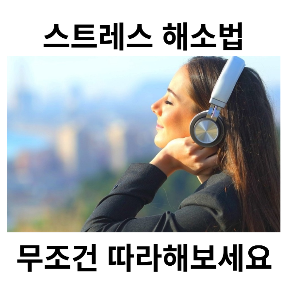 스트레스 해소법 박효신 라이브