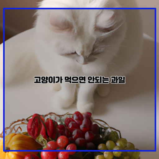 주의-고양이-위험한-과일