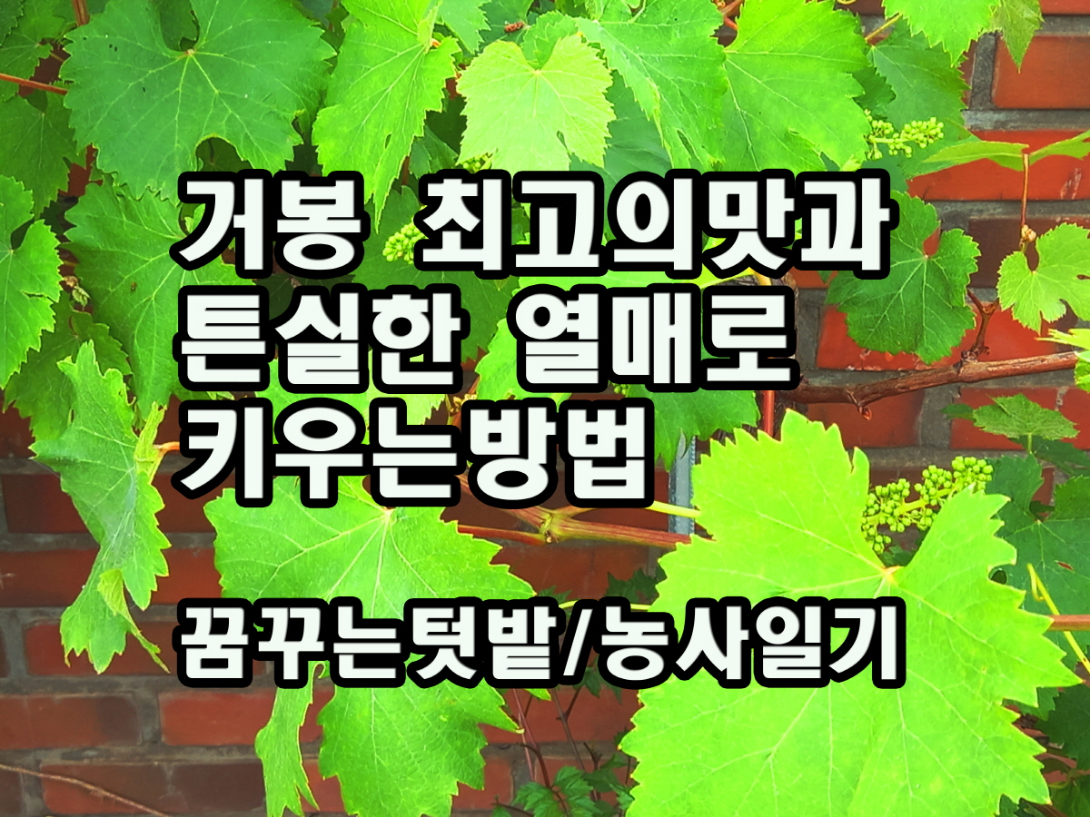 최고의맛 이미지