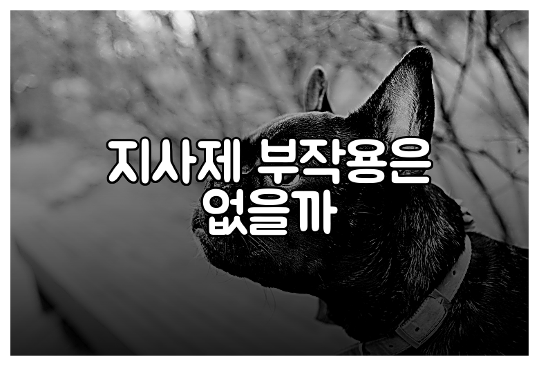 지사제 부작용은 없을까
