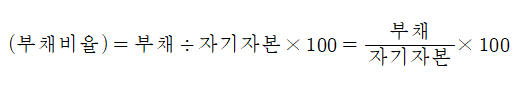 부채비율 산출식