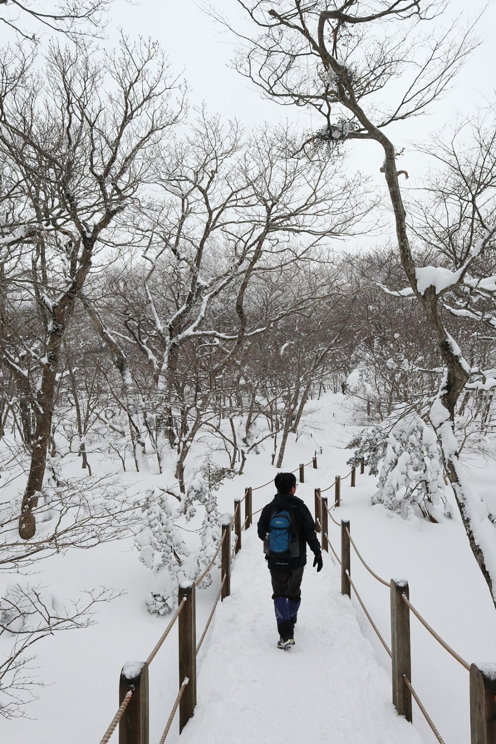 눈쌓인 겨울산 이미지 87