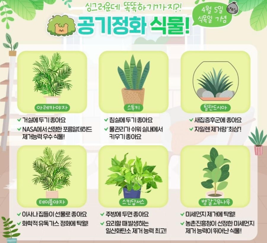 공기 정화 식물 6종