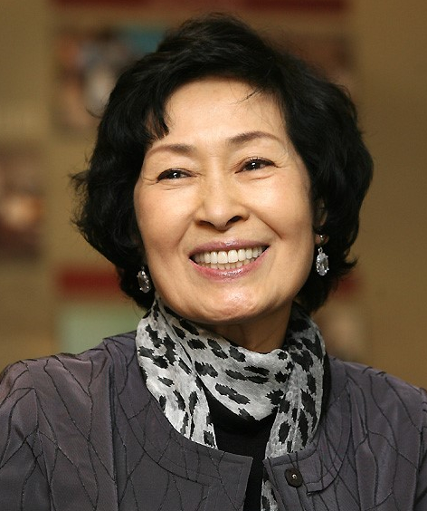  김혜자 프로필 - 배우 - 드라마 - 영화 -작품