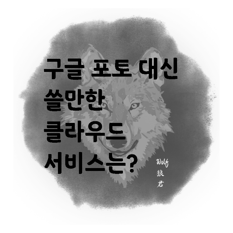  구글 포토 대신 쓸만한 클라우드 서비스는?