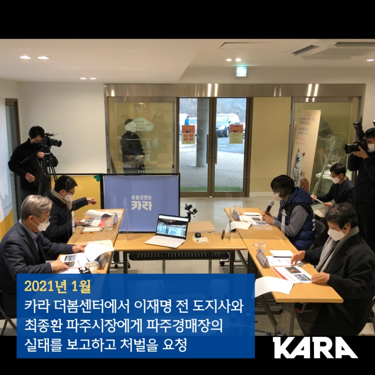 식용 [탄원참여요청] "파주경매장의 도살자들을 찾아서" _ 1