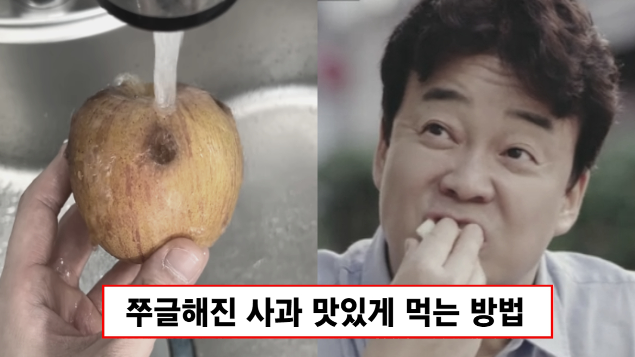 냉장고 쭈글한 사과 버리지 마세요, 과일가게 사장님이 비법을 알려줘 온 가족이 칭찬합니다