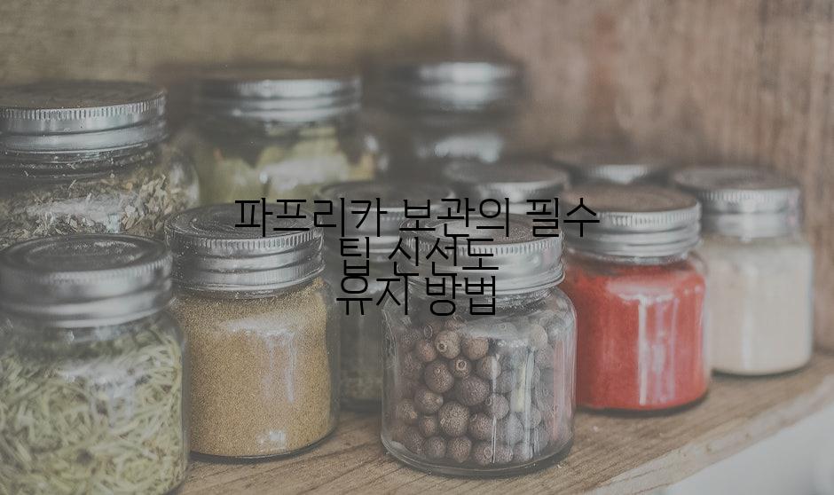 파프리카 보관의 필수 팁 신선도 유지 방법