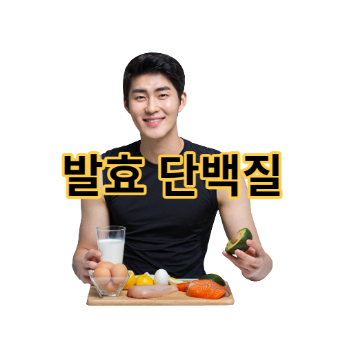  발효 단백질 근감소증 증상 개선 및 면역력과 뇌 건강에도 도움