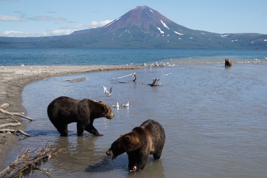 해외 여행 입국자 자가격리 해외입국 자가격리 면제 : 3월21일부터