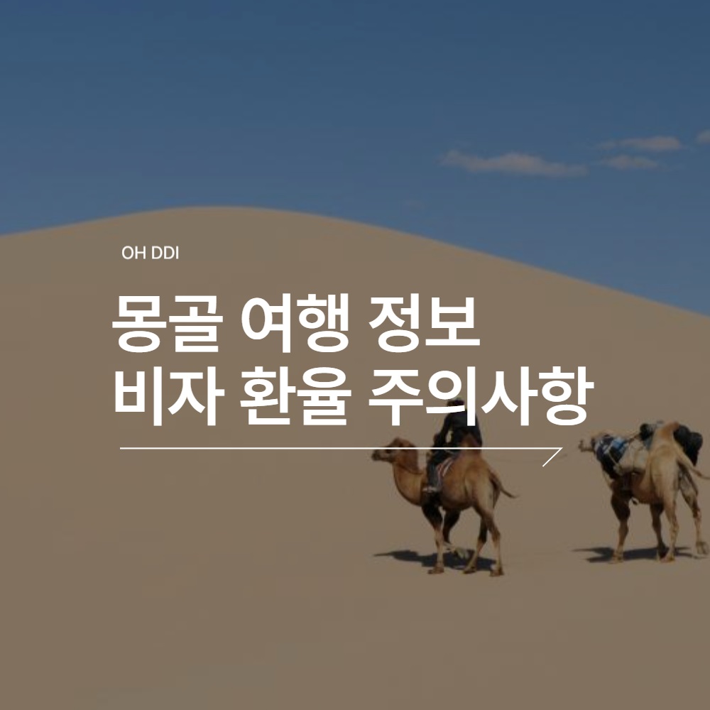 몽골-여행-기본-정보