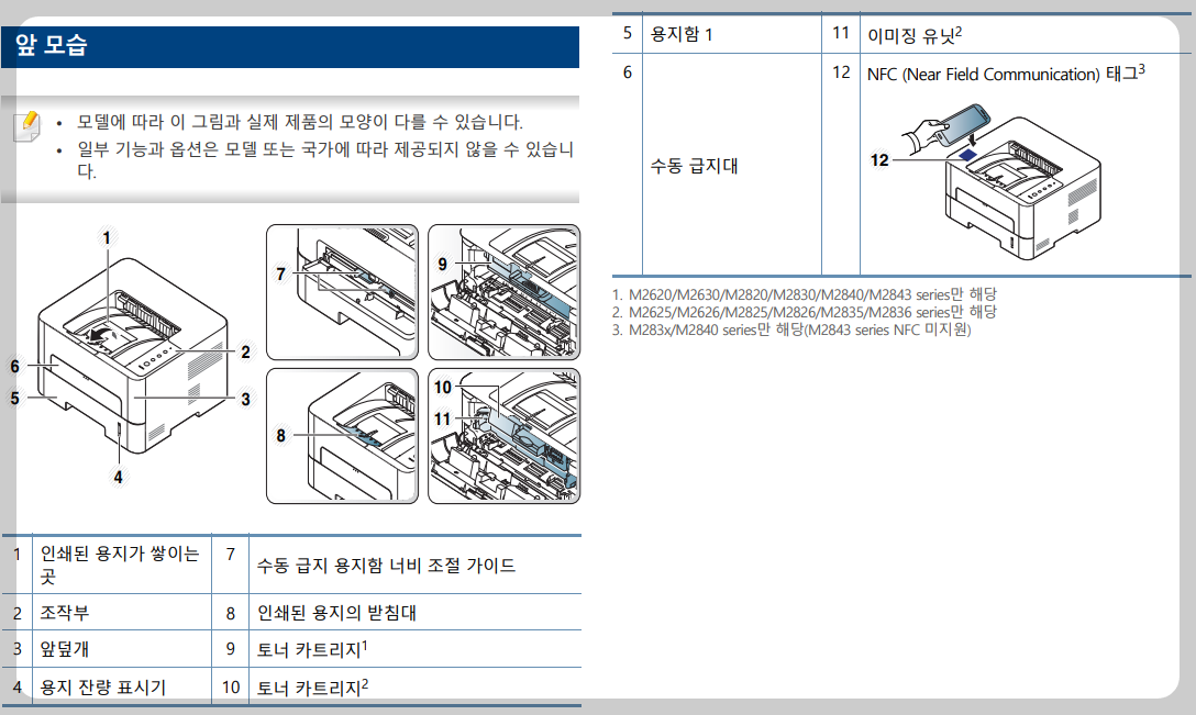 앞모습