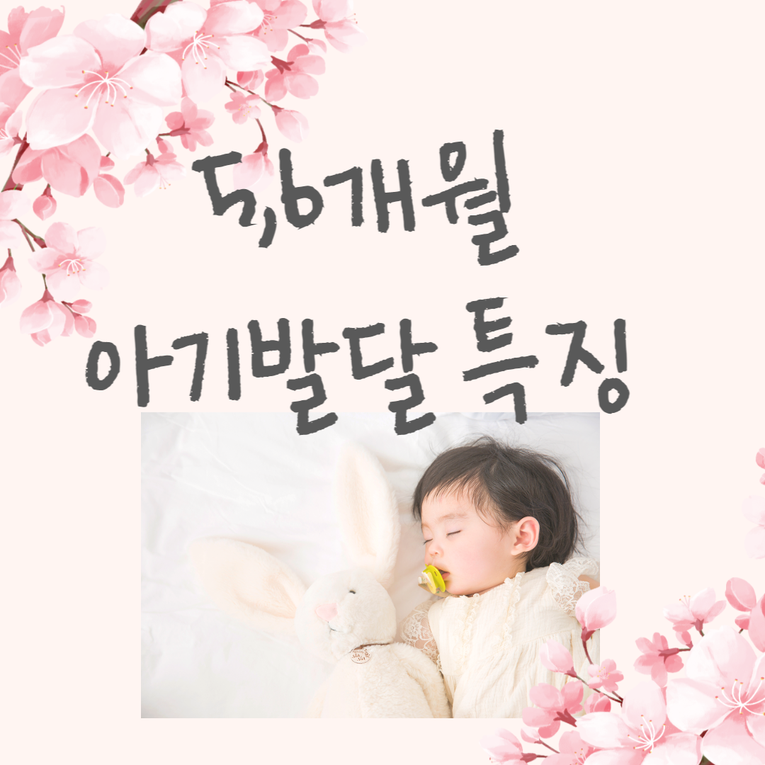 5개월 아기 발달 특징
