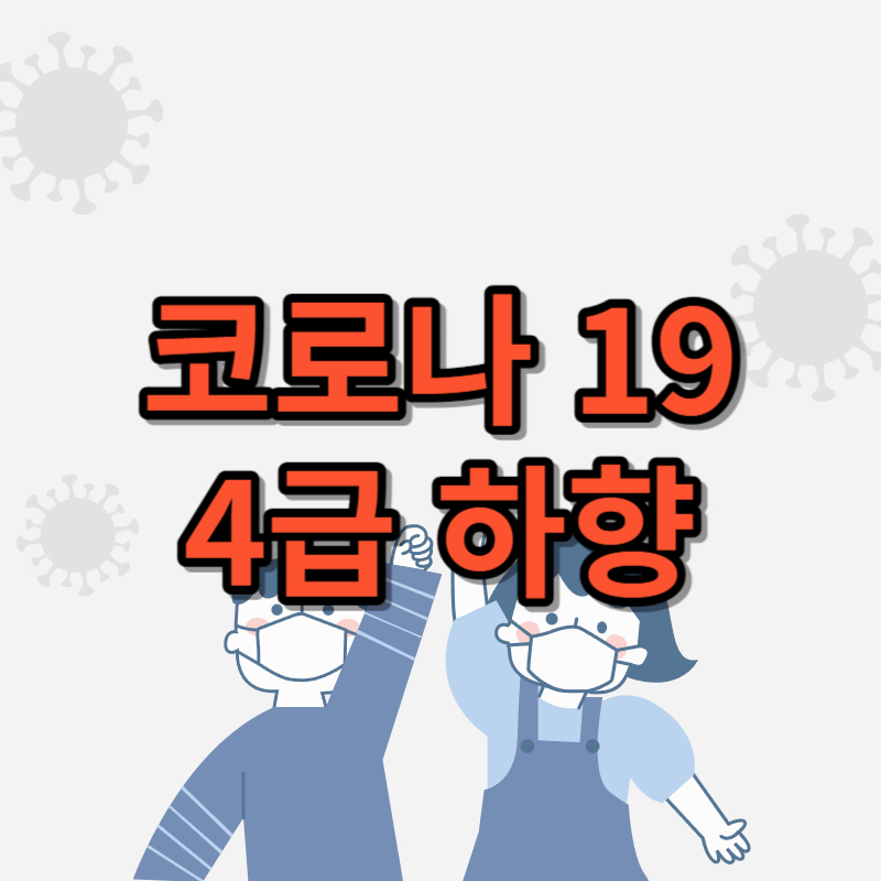 코로나 19