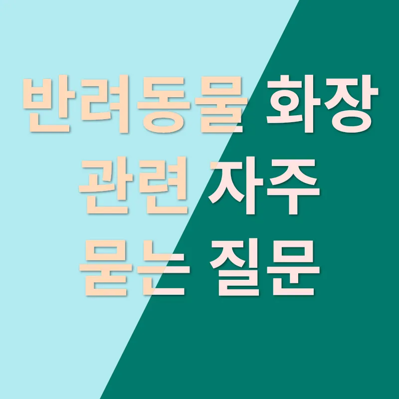반려동물 화장_4